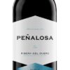 Bodegas Pascual, Ribera del Duero DO Heredad de Peñalosa, Roble