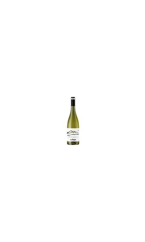 RAJA01020 Sa Raja Soc. Agricola, Vermentino Di Sardegna DOC