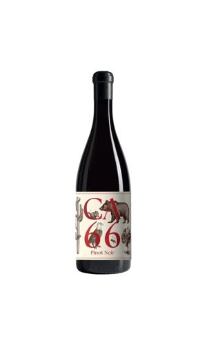 Weingut Hannes Sabathi, Südsteiermark DAC CA 66, Pinot Noir