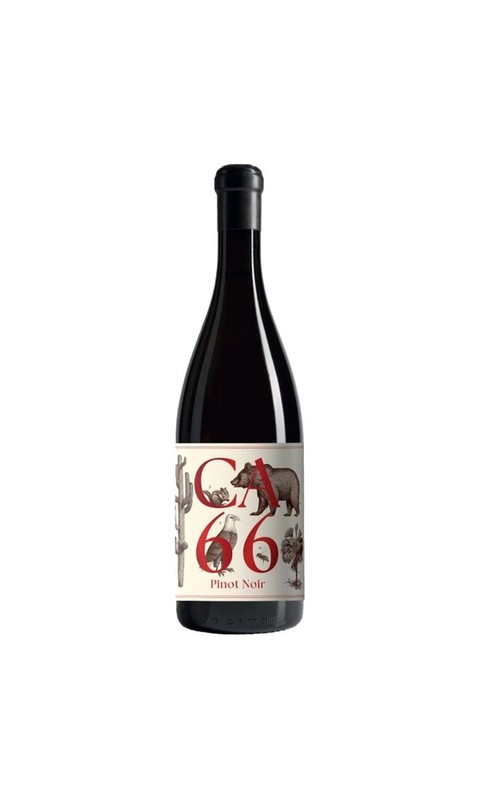 SABA07023-2 Weingut Hannes Sabathi, Südsteiermark DAC CA 66, Pinot Noir