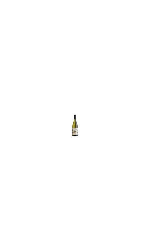 SABA05022-3 Weingut Hannes Sabathi, Südsteiermark DAC CA 66, Chardonnay