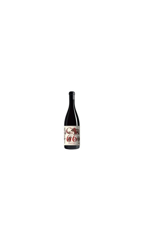 SABA07023-3 Weingut Hannes Sabathi, Südsteiermark DAC CA 66, Pinot Noir