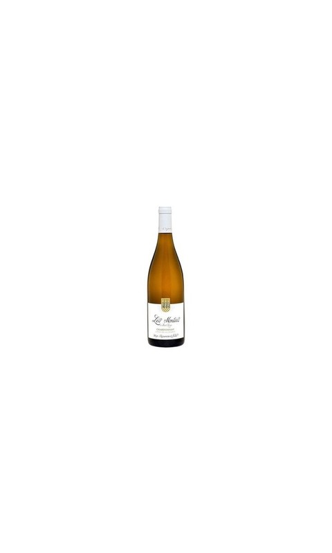 Domaine Serge Dagueneau et Filles, Côtes de la Charité IGP Chardonnay