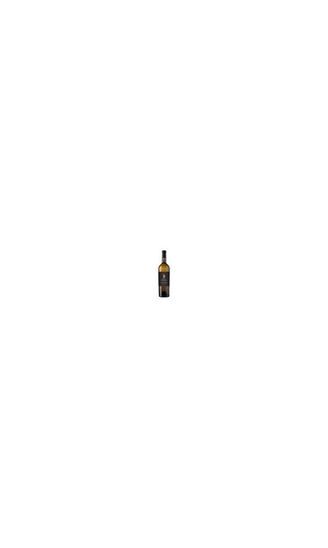 ZENZ05024-3 Dreams, Heaven Can Wait, Pinot Grigio