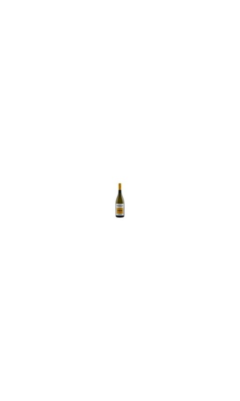 carbo01023-800x800-1-1-1-1-1-1 Carboncine Azienda Agricola, Prosecco Doc Frizzante